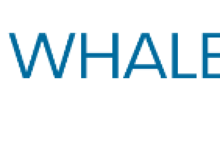 Blue Whale EV and Swtch Energy aim to accelerate the transition to sustainable mobility across North America. Photo: Blue Whale EV 